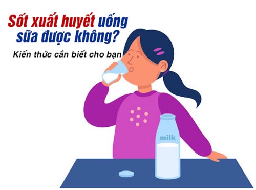 Sốt xuất huyết uống sữa được không? Kiến thức cần biết cho bạn